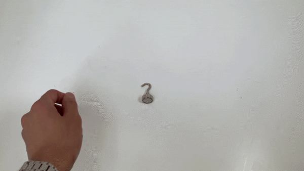 732975028ec8f63c4cca6dfc69c920c1_1709195010_7382_1709805064.gif
